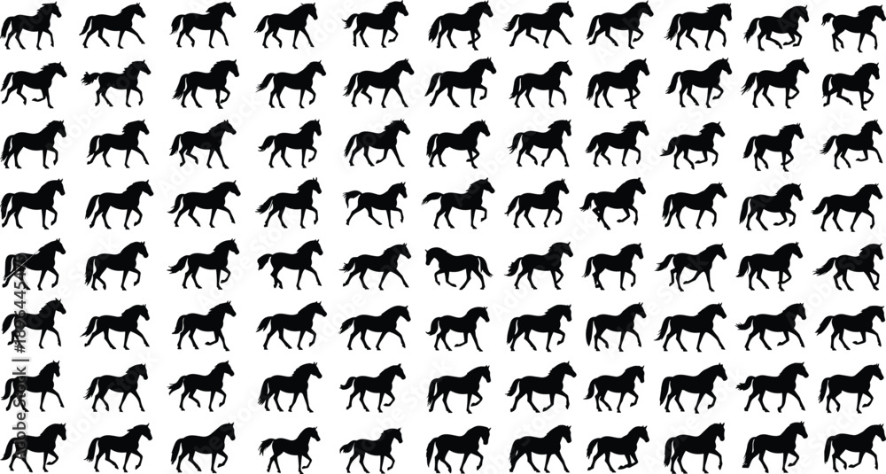 Naklejka premium Horse silhouette set, walking trotting icon, animal motion study, equine posture design, black white artwork, sequential movement, flat vector illustration