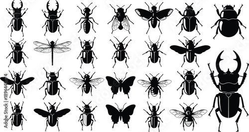 Insect silhouette set, beetle butterfly dragonfly, ant bee fly icon, entomology design, nature biology symbol, black white graphic, flat vector illustration