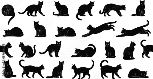 Cat silhouette set, feline animal icon, pet symbol design, domestic kitty posture graphic, black white artwork, flat vector illustration