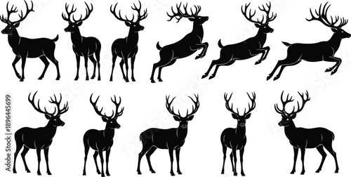 Deer silhouette set, antler stag icon, wildlife animal symbol, forest nature design, hunting graphic artwork, black white, flat vector illustration