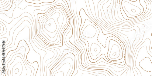 Topographic gold luxury map background.Modern design with White background with topographic wavy pattern design.Geographic map conceptual design. Elegant background for presentations.