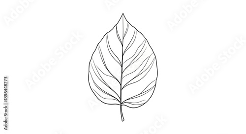 Simple and Elegant Outline of a Single Leaf with Natural Veins for Graphic Design and Artistic Projects