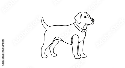 Vector illustration of a happy dog standing on a white background, simple line art, perfect for pet-related designs and animal lovers