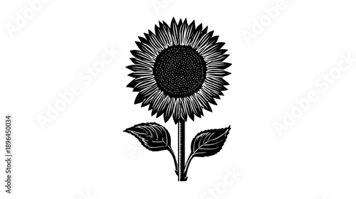 A simple, black-and-white illustration of a sunflower in full bloom