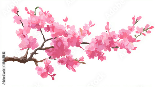 Cherry Blossom Branch in Watercolor Style for Spring

