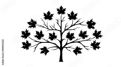 Silhouetted tree graphic with maple-leaf leaves and branches. Black leaves over white