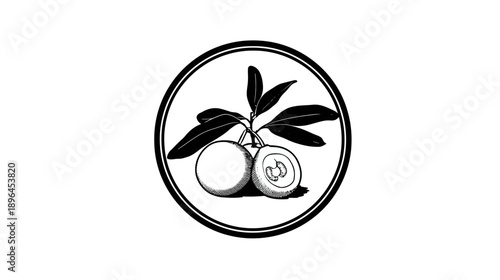 A black and white illustration of fruits with leaves inside a double-lined circle