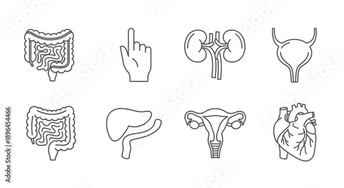 Man Drinking Water Illustration Set – Hydration Healthy Lifestyle Cartoon Icons