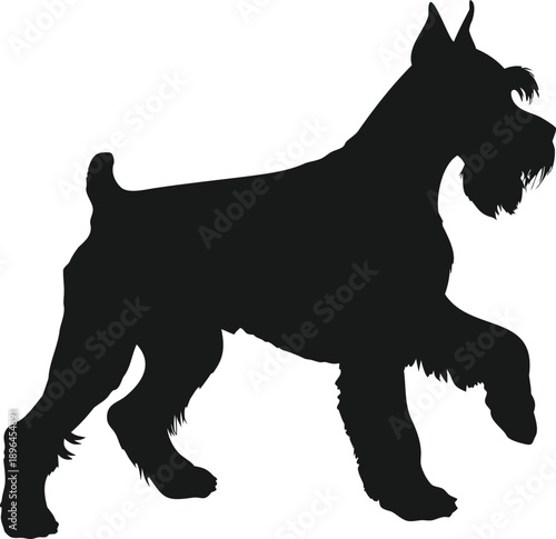 Schnauzer silhouette, Schnauzer outline, Schnauzer shape, Schnauzer icon, Schnauzer dog, Terrier silhouette, Terrier outline, Pet silhouette, Puppy silhouette, Animal silhouette