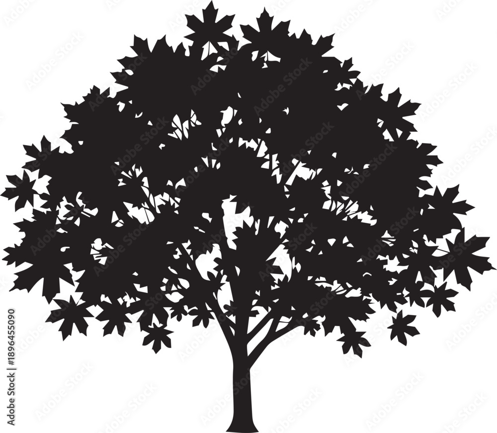 Obraz premium Black maple tree vector silhouette illustration on a transparent background for design projects
