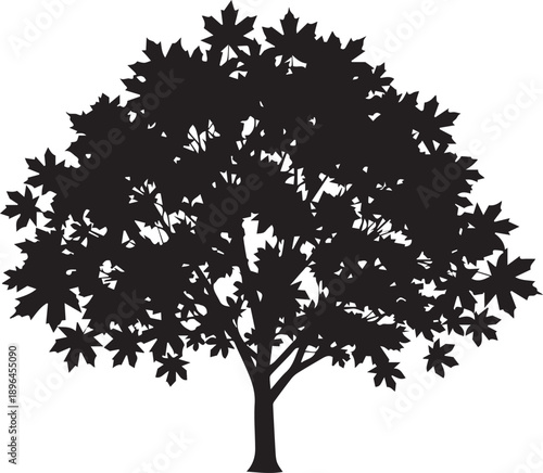 Black maple tree vector silhouette illustration on a transparent background for design projects