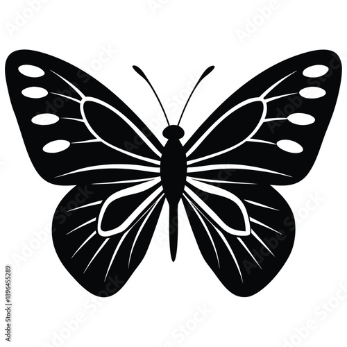 butterfly vector icon on white background