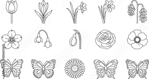 Variety of meticulously hand-drawn line of spring flowers and intricate butterflies for creative projects