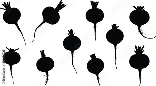 Silhouette of beetroot vegetables
