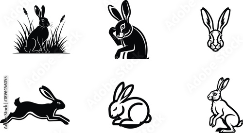 Collection of rabbit illustrations in various poses and styles