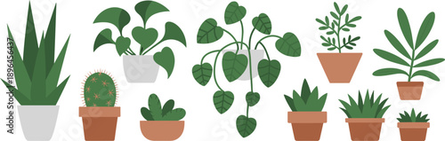 Indoor houseplants set in pots, modern flat vector illustration of botanical decor with succulents, cactus and leafy plants, home gardening greenery collection