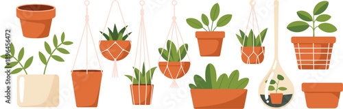 Indoor plants and hanging planters set in terracotta pots, modern flat vector illustration of home gardening, botanical decor elements isolated on white