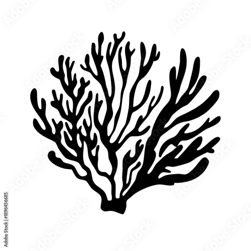 Hand Drawn Diverse Coral Species - Underwater Ocean Ecosystem Graphics