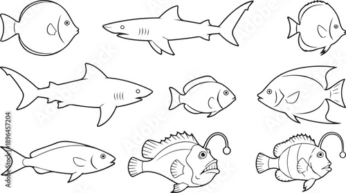 Outline illustrations of nine different types of fish
