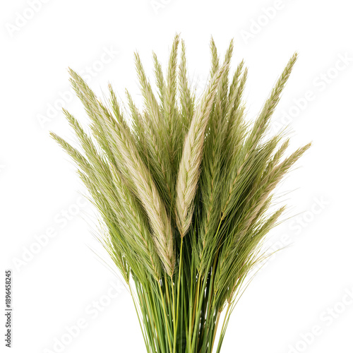 Dried Grass Bundle Placed on a Plain Surface Showing Natural Fibers and Textu...
