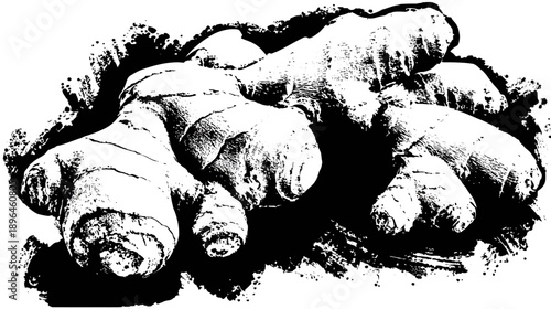 Black and white illustration of a root vegetable with a textured, detailed surface