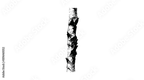 A black and white illustration of a tree trunk with textured bark, vertically centered