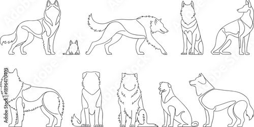Collection of Minimalist Dog Outlines and Wolf Line Art Vectors Featuring Front Facing Poses and Standing Canine Silhouettes for Design
