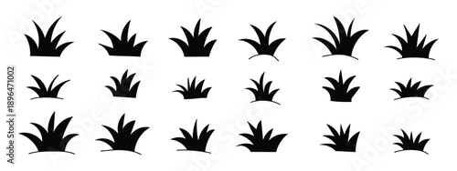 Grass silhouette icon set, black clump variations, blade shapes and curvature, natural landscape element, botanical. Many different black silhouette grass clumps and small plants . EPS 10. 
