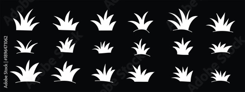 Grass silhouette icon set, black clump variations, blade shapes and curvature, natural landscape element, botanical. Many different black silhouette grass clumps and small plants . EPS 10. 
