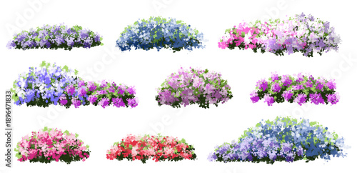 Vertor set of spring blossom tree,bloomimg plants side view for landscape elevation and section,eco environment concept design,watercolor illustration,colorful season