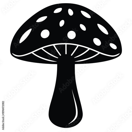 mushroom vector illustration on white background