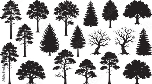 Detailed Set of Black Tree Silhouettes Collection Including Pine Fir Oak Willow and Deciduous Styles Isolated on White Background for Nature Landscape Design