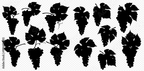 Set of black silhouettes of grape bunches with leaves, vector illustration on a transparent background.