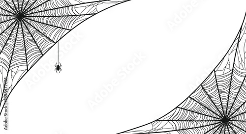 Spider web illustration with two corners and a spider