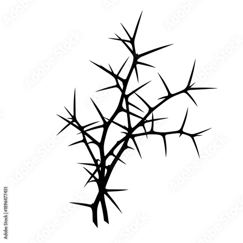 A black silhouette of a thorny branch against a white background