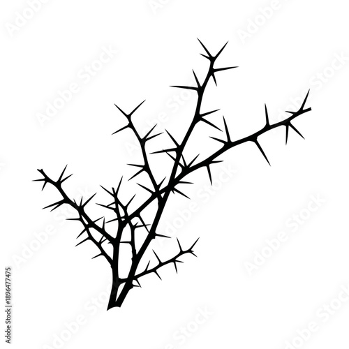 A stark black silhouette of thorny branches against a white background