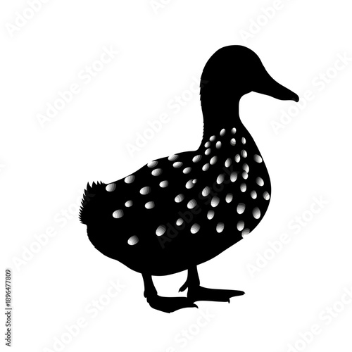 A black silhouette of a mallard duck with spotted plumage
