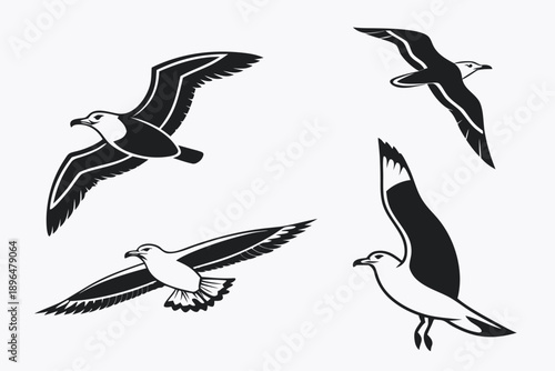 flat-seagull-vector-design---icons-set---4-minimal