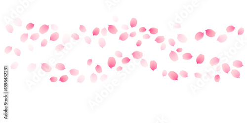 Sakura cherry petals, pink apricot flowers falling wavy border. Vector background