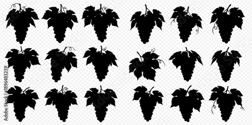 Set of black grape bunch silhouettes with leaves, isolated vector illustration on transparent background.