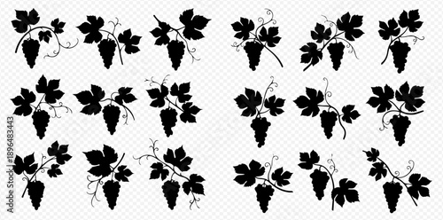 Set of grape vine silhouettes with leaves and berries, perfect for wine labels or vineyard branding.