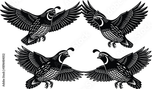 Stylized black and white illustration of four flying quails in symmetrical circular motion, detailed feathers and head plumes, perfect for nature, wildlife, and design themes.