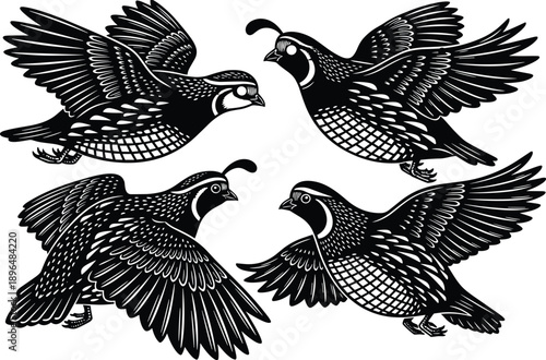Stylized black and white vector illustration of four flying quails with detailed feathers and dynamic motion, perfect for wildlife, nature, and decorative design themes