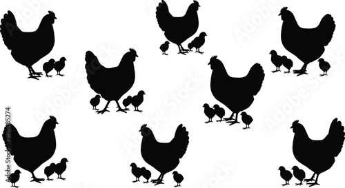 Silhouette collection of hen and baby chicks walking together vector illustration for farm animal and agriculture design concepts