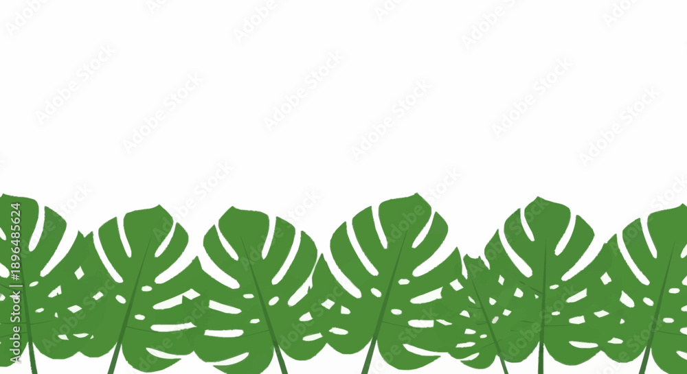 Fototapeta premium Green Monstera Leaves Border Pattern.