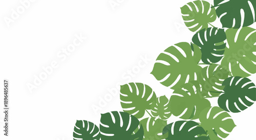Green Monstera Leaves Pattern Background.