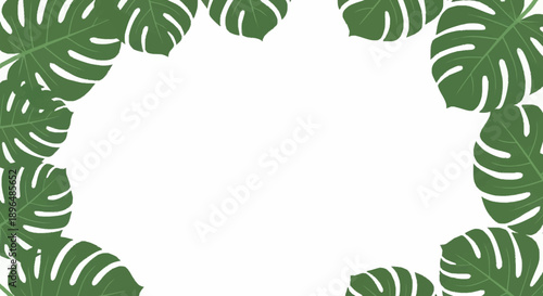 Monstera Leaves Border Frame Tropical Plant Elements.