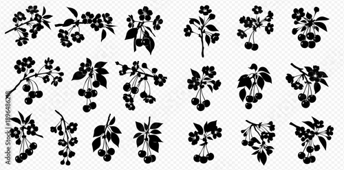 Set of black silhouettes of cherry branches with berries and flowers on a white background.