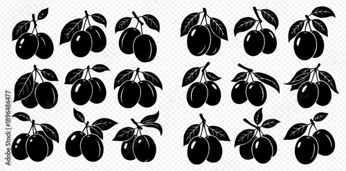 Set of black and white plum illustrations with leaves, perfect for fruit designs and healthy food concepts.