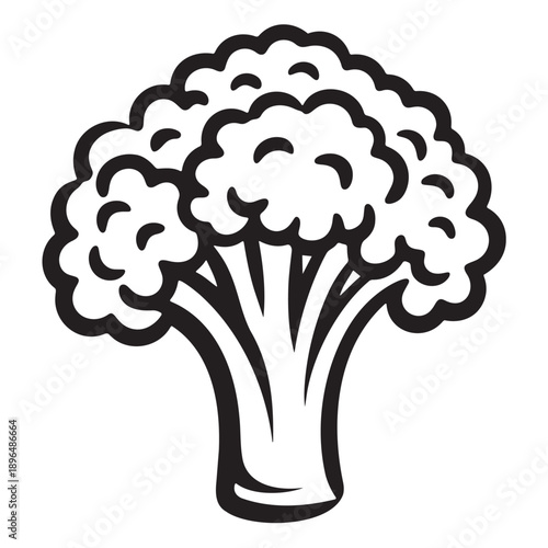 Broccoli illustration in simple line art style with black outline on white background for healthy eating